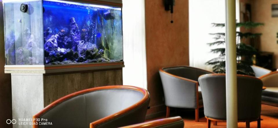 Hotel Pedussaut Saint Gaudens Kültér fotó